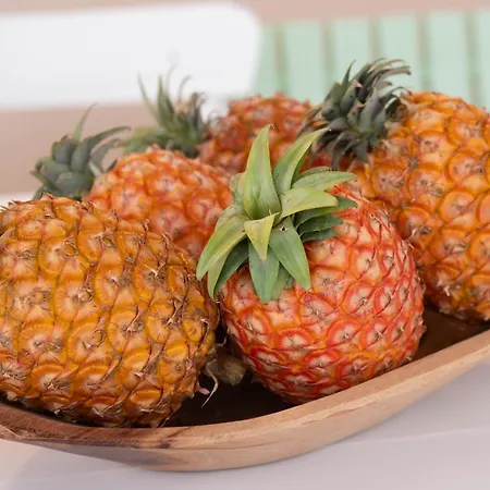 Marta - Garca Real Lägenhet *